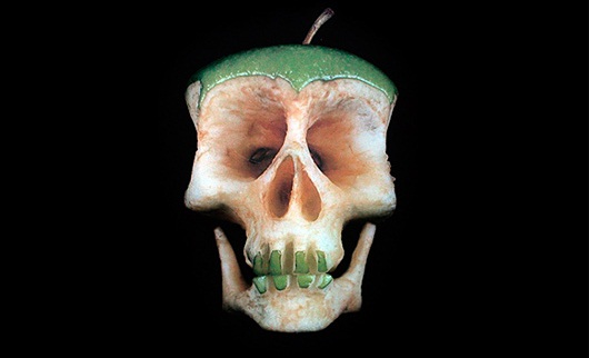 Fruit and Vegetable Skulls by Dimitri Tsykalov